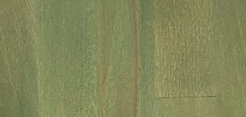 colore legno verde